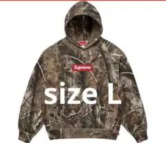 Supreme Box Logo(25FW)