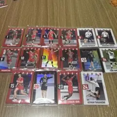 日本代表 男子バレー ツインウエハース トレーディングカードセット