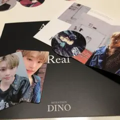 SEVENTEEN  AnOde Real ディノ