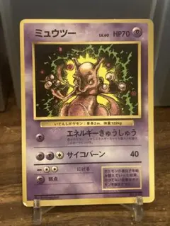 CR亀仙人様7 最安フォロ.リピ割り様 リクエスト 2点 まとめ商品