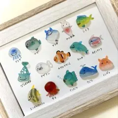 海の生き物シーグラスアート⭐︎No.443図鑑⭐︎ヒーリング ギフト