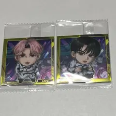 ととろ様 リクエスト 2点 まとめ商品