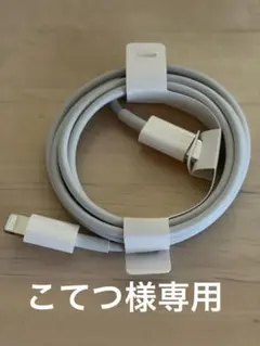 純正Apple Lightning ケーブル