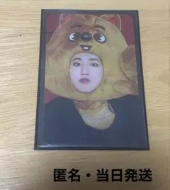 StrayKids スキズ MAXIDENT JYP ハン ジソン 特典 トレカ