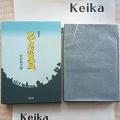 Item thumbnail for item 4cb50241-108e-49fe-b834-ae25ee6e9c29