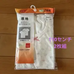 Item thumbnail for item 04b2f468-e185-431e-96b0-7ddaa5f30210