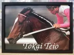 競馬優勝パネル（枠付き） 2025年最新】競馬 額縁の人気アイテム - メルカリ