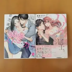 初恋彼氏は溺愛ストーカー！？ ハツコイ同士。