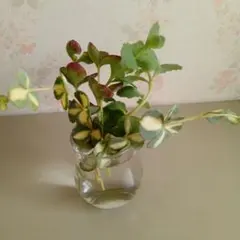 sako様 リクエスト 3点 まとめ商品