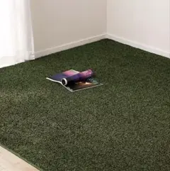 【横浜市磯子区・手渡し】ニトリ 200X200cm カーペット　エアープラスのサムネイル