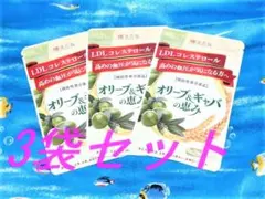 オリーブ&ギャバの恵み 30日分 2袋セット - メルカリ