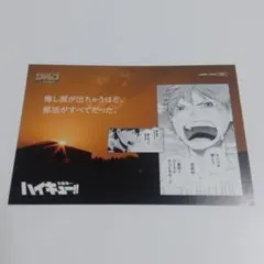 【送料込】ハイキュー！！ セイシュン モーメント ポストカード 日向 影山