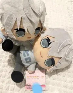 カラフルピーチ からぴち ヒロ ぬいぐるみ 2点セット