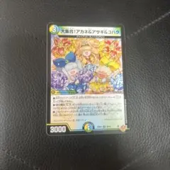 大集合！アカネ＆アサギ＆コハク 4枚 - メルカリ
