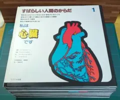 すばらしい人間のからだ 全巻セット 古本 レア 入手困難 医学 絵本 児童書