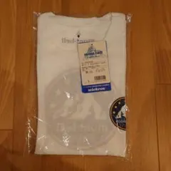 Item thumbnail for item 633a3e45-d743-4e96-92d4-4e4ee9ac4bc2