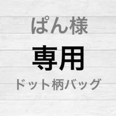 tina jojun ティーナジョジュン　ドット柄 ギャザーバッグ　ホワイト