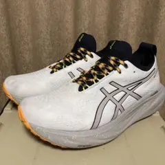 Item thumbnail for item 8be2f4fc-65a3-4608-a7ac-1c572d34a33a