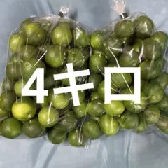 露地スダチ(二級品) 正味10kg超 - メルカリ