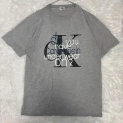 USA製 Calvin Klein シングル CKロゴ Tシャツ XL グレー - メルカリ
