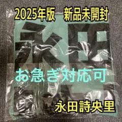 2026年最新】永田詩央里 ビブスの人気アイテム - メルカリ
