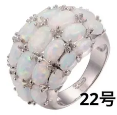 Item thumbnail for item d1271e91-20f2-41e9-9343-404803e71df5