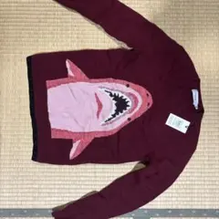 Item thumbnail for item d3938daf-0268-4f37-80ea-caa207f18291