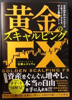 【新品】黄金のスキャルピング FX