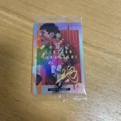 ツインウエハース サッカー日本代表