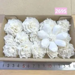ソラフラワー　2695