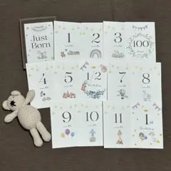 Item thumbnail for item b4e1d29a-aed6-42b0-a569-5b0e04dcbadd