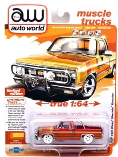 1981 シェビーシルバラードフリートサイド・カスタムロワード (チェイスカー)