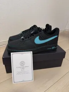 Nike Air Force 1 Low Black Tiffany 26cm
