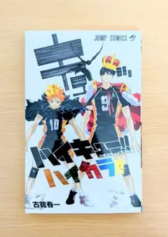 ★値下げ★ ハイキュー!! ハイカラ! イラスト集