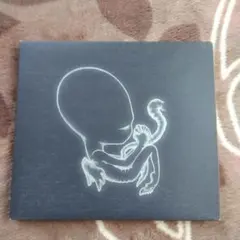 シガー・ロス　アゲイティス・ビリュン　国内盤