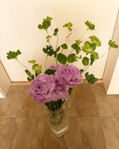 みーちゃんさま専用。