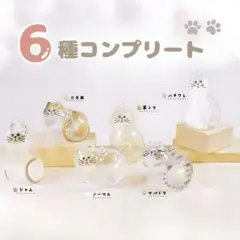 うちの子のけだまだま 6個セット 猫 メモリアル キーホルダー コンプリート