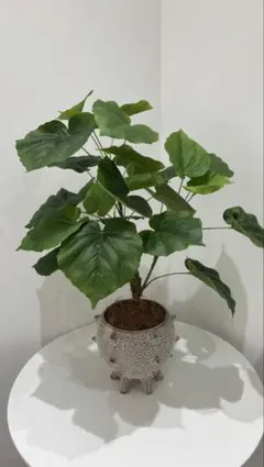 ウンベラータ　観葉植物　フェイクグリーン　インテリアのサムネイル