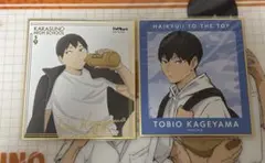 ハイキュー!! 影山飛雄 色紙２枚セット