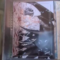 ★激レア☆CLAMP『Xエックス』トレカ【フェザーカード】no.7神威