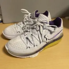 Item thumbnail for item 088c2c52-224e-4379-be7b-3888d60ed57e