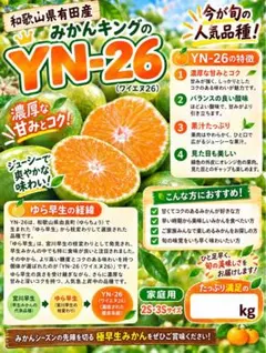 在庫限り‼️希少品種‼️和歌山県産 紫の梅M.Sサイズ 10kg みかんキング