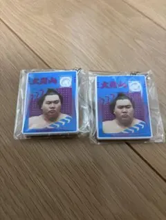 Item thumbnail for item f861e4dd-2415-4996-bf19-e690d76b013a