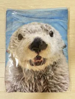 2025年最新】キラメイ ラッコの人気アイテム - メルカリ