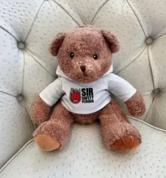 【新品・未使用】　石川祐希　ペルージャ　ぬいぐるみ　SIR BEAR グッズ
