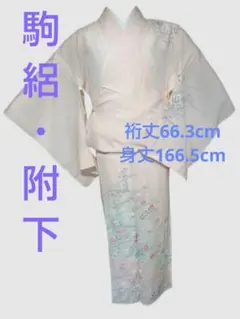〇507mk35〇東レシルック 紙人形印 洗える着物 夏物 絽 小紋 菊〇美品