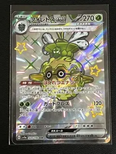 フォレストex SSR