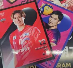 Item thumbnail for item 62873570-8080-473f-943c-6f48231b109b