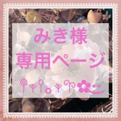 Triumph レッドレーベル ブラジャー D70❣️ブラック♡ᵕ̈幻想的❁⃘*.゜