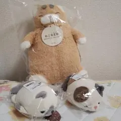 スギ薬局 キャラクター スーギースーニャ 激レア ぬいぐるみ 入手困難